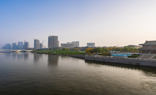 政策咨询