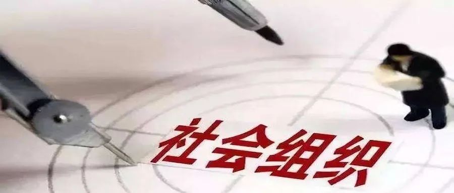 政策咨询