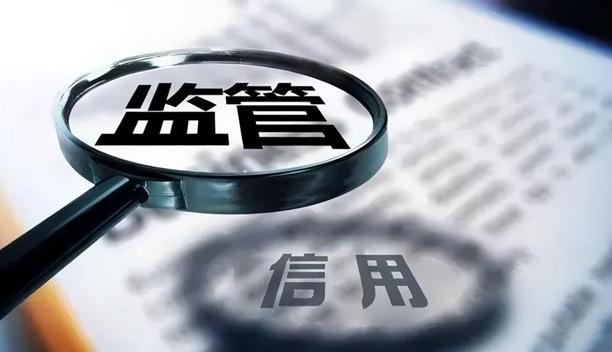 政策咨询